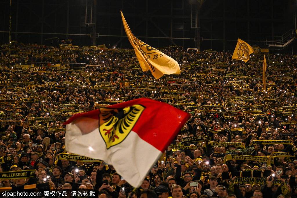 暴风雪下的德甲：汉堡与勒沃库森比赛推迟及其影响